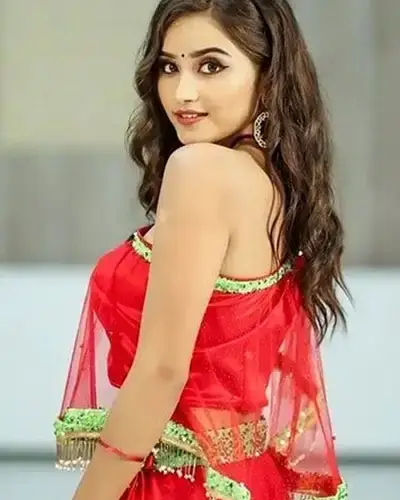 Call Girls Service Alangulam